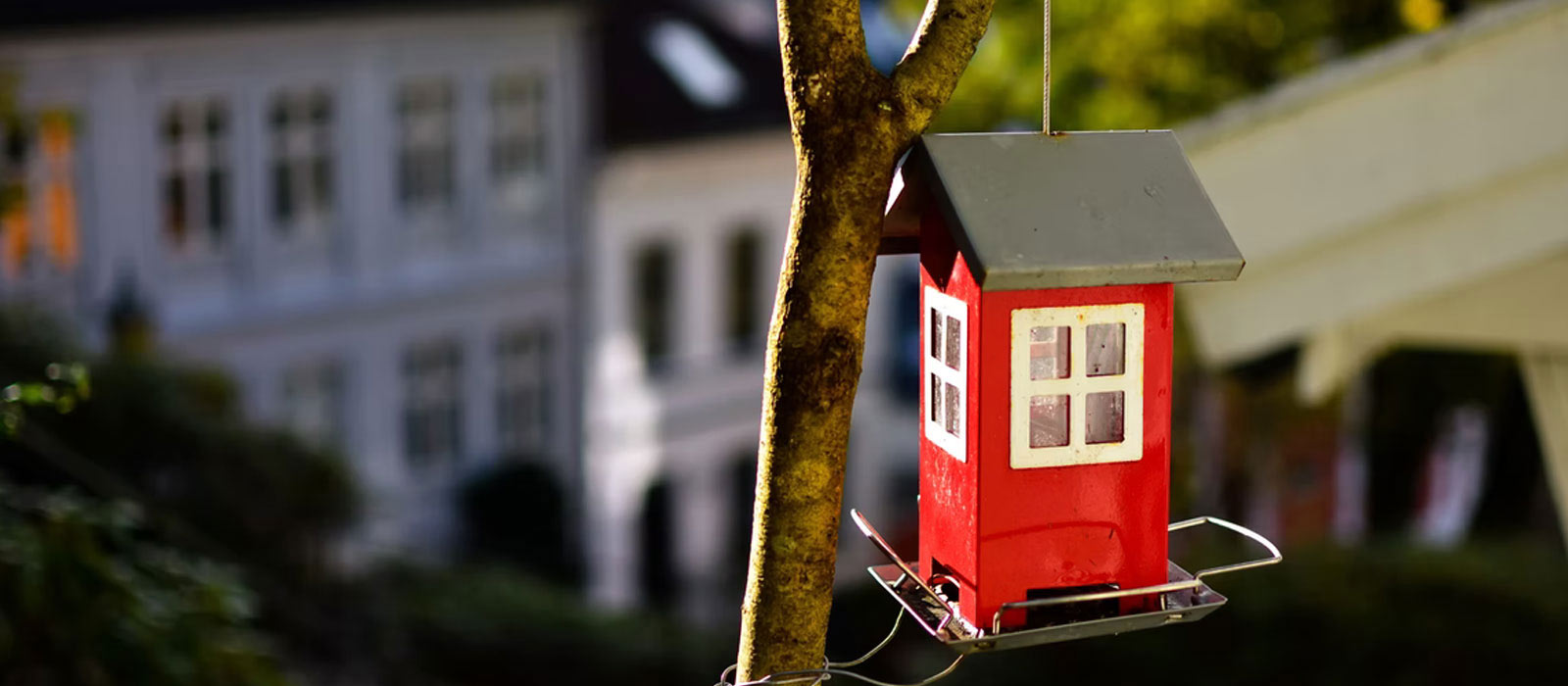 Close up of red birdhouse