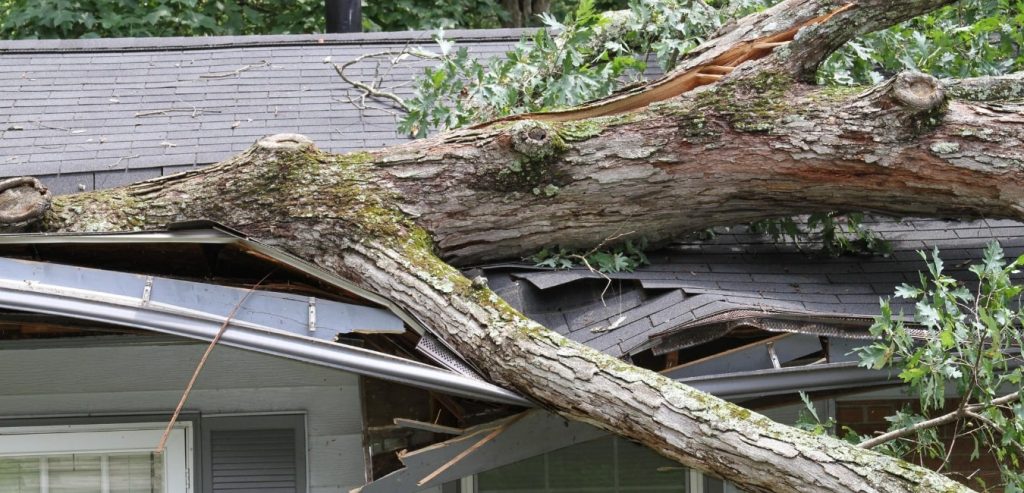 Fallen tree on roof of home | Homeowners Insurance
