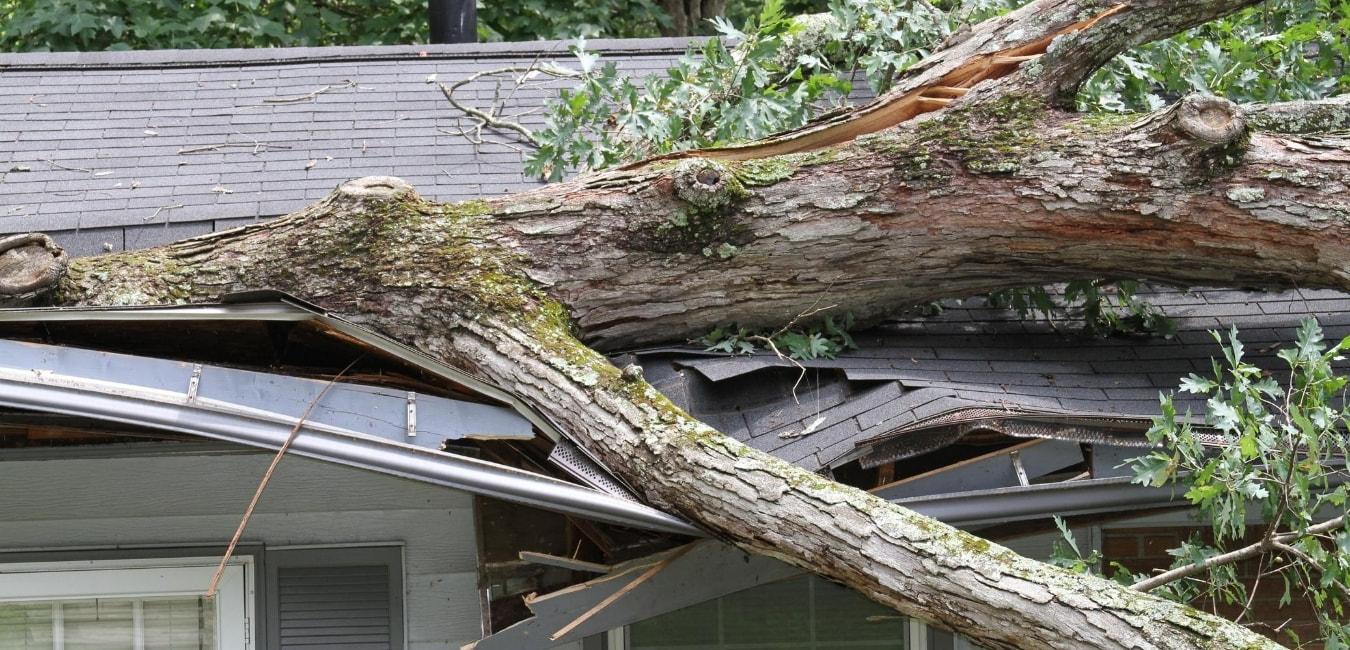 Fallen tree on roof of home | Homeowners Insurance